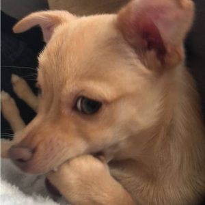 Meet your Posher, Valeria